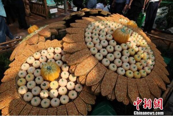 四川泸州举行“江之阳”蔬菜品赏会 打造优秀农业品牌