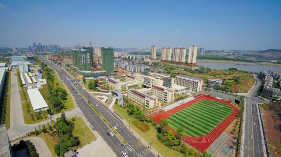 泸州高新区：优化政商环境 向“千亿园区”加速奔进