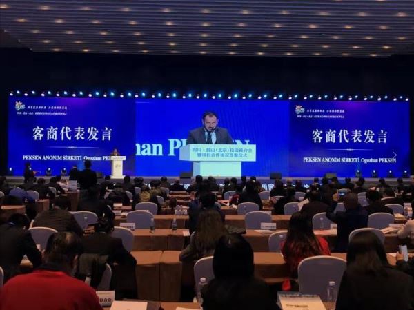 2019杭州国际人才交流与项目合作大会盛大开幕